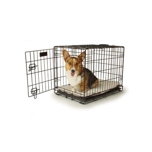 Petco Classic 1-Door Dog Crates