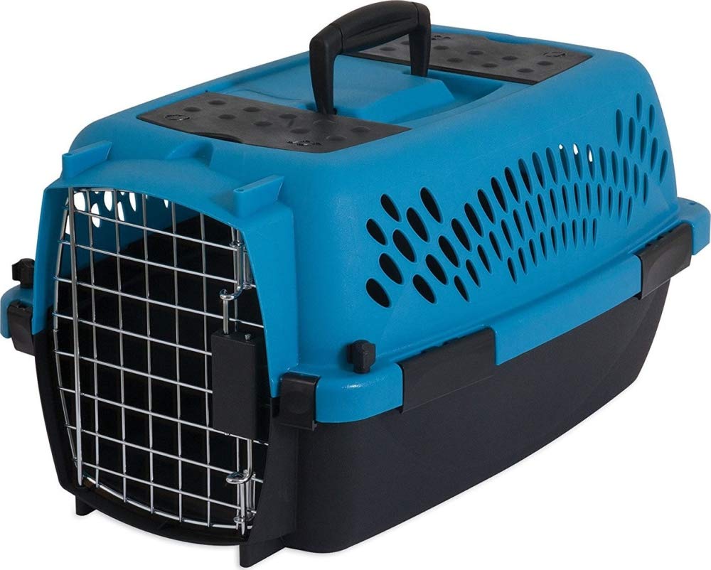 Aspen Pet Pet Porter Plastic Kennel