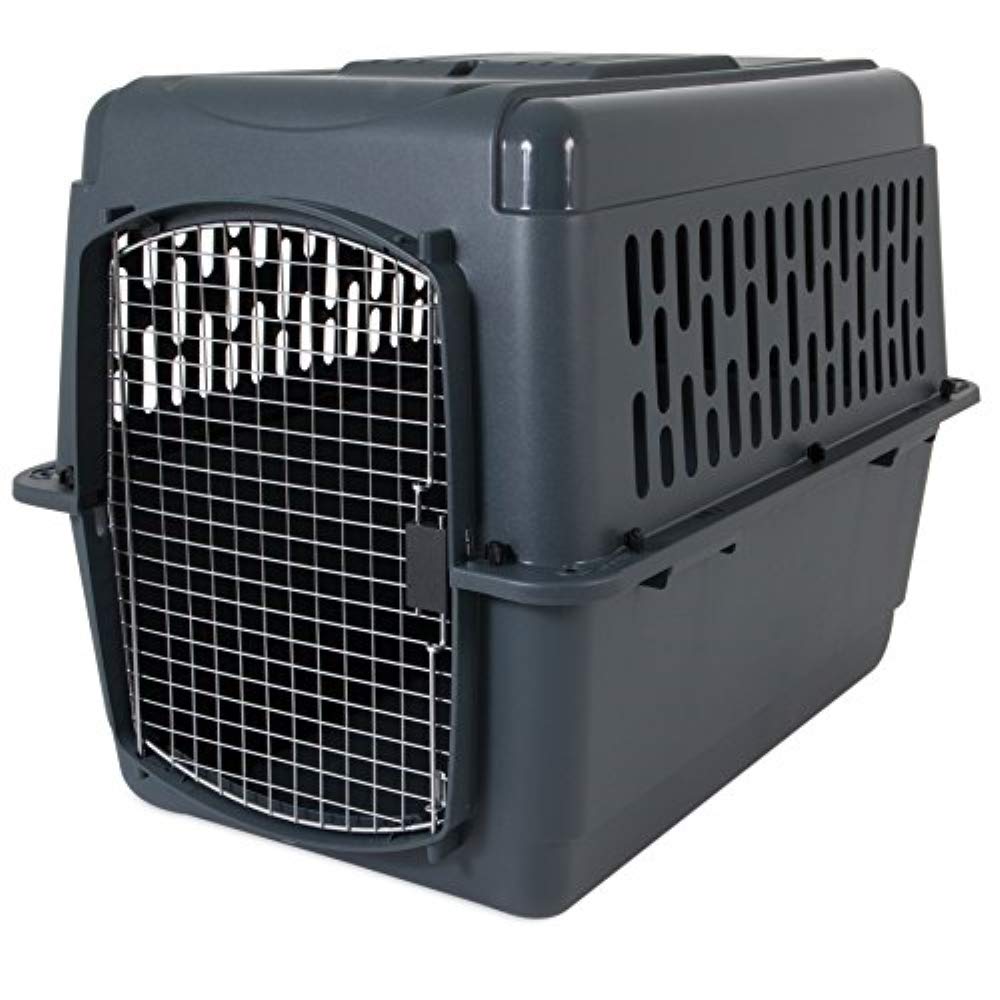 Aspenpet Pet Porter Kennel