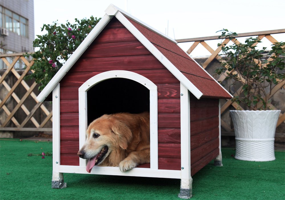 Petsfit Outdoor Wooden Dog House