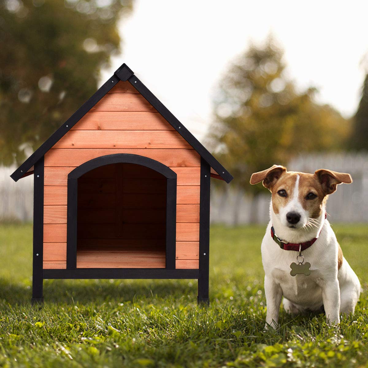 TANGULA Dog House