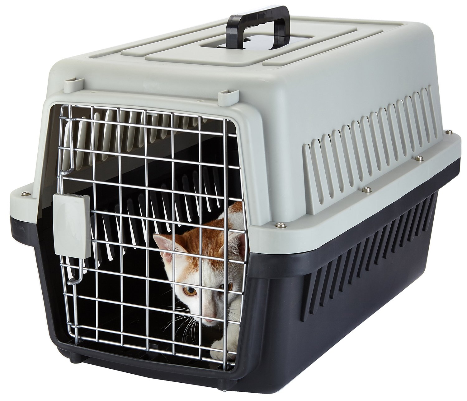 Yvettevans Portable Airline Approved Top-Load Pet Kennel