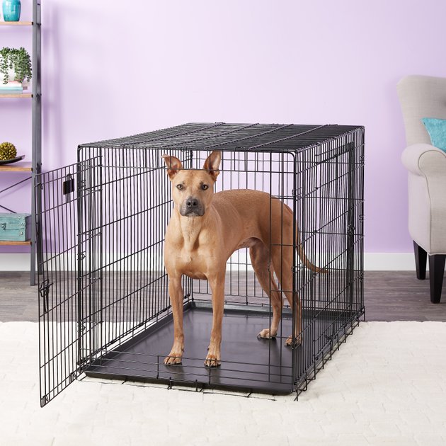 Precision Pet Two-Door Great Crate