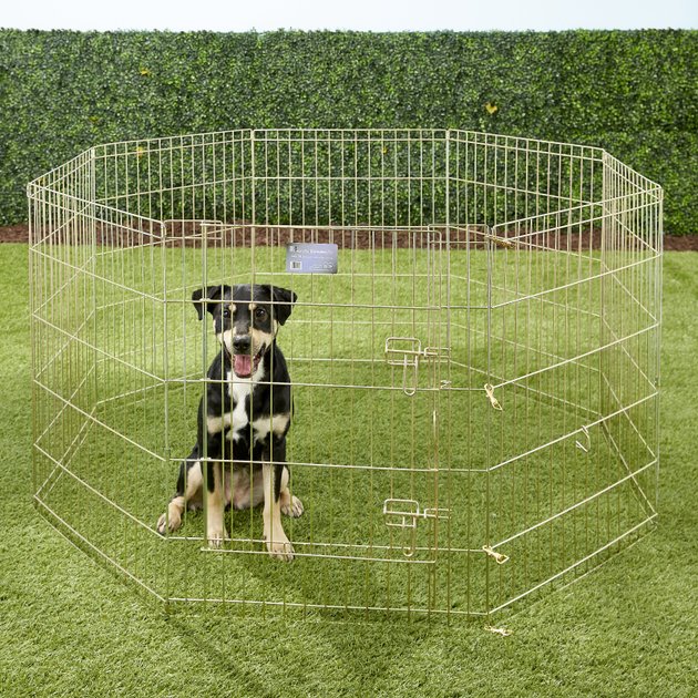 MidWest Wire Dog Exercise Pen