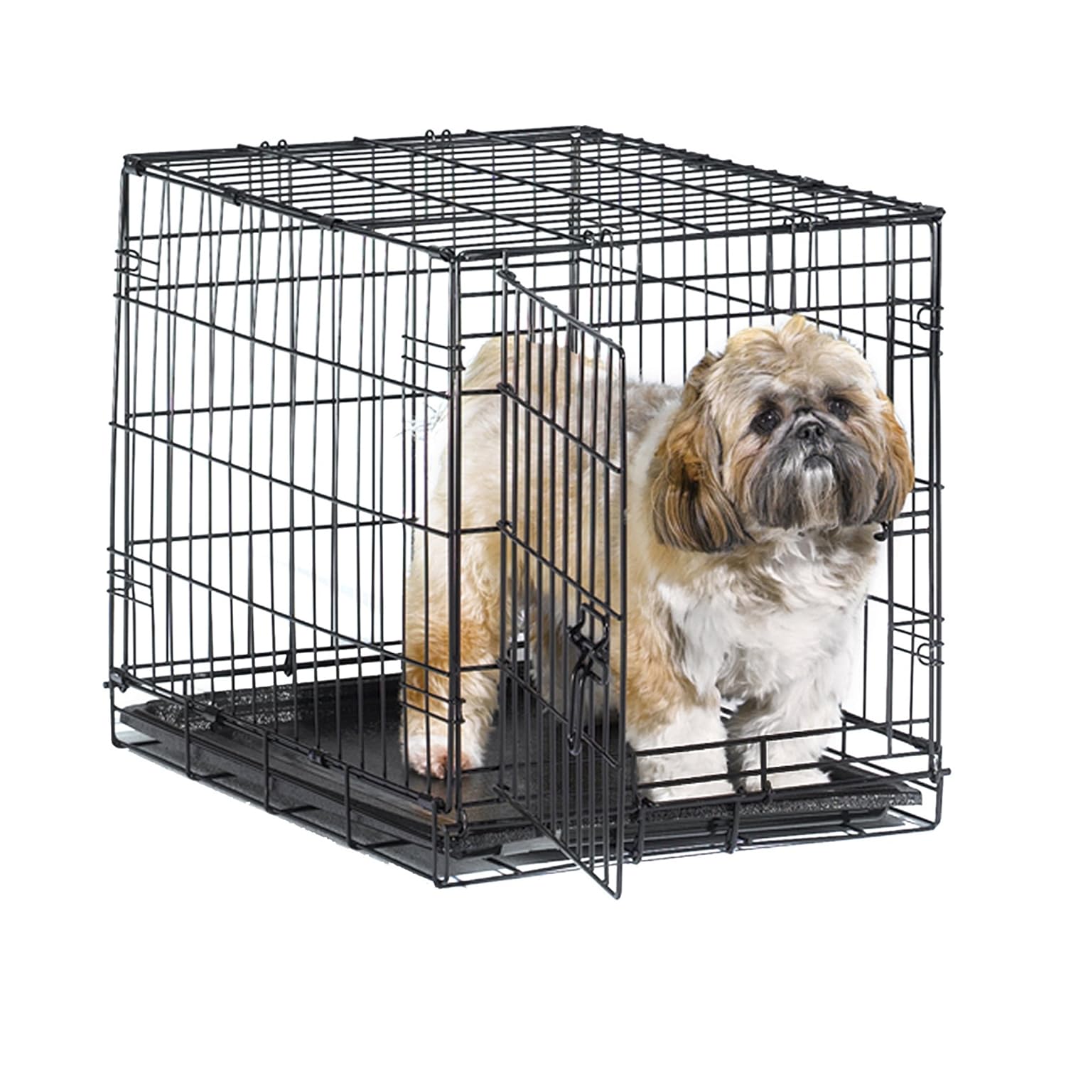 New World Folding Metal Dog Crate