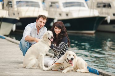 owners with their Golden Retrievers meeting up at the docks