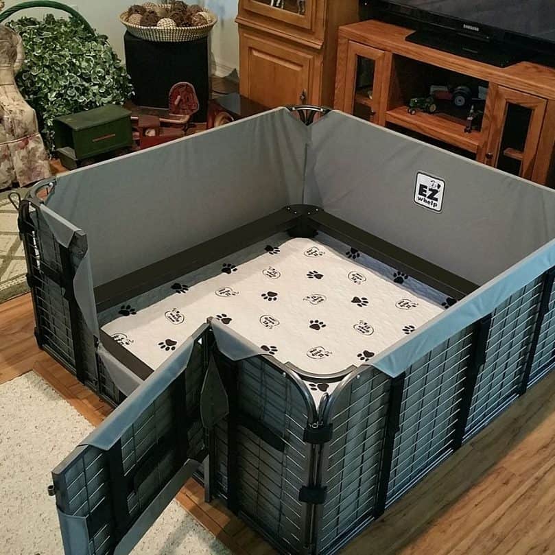 A steel cage whelping box with a door and washable linings