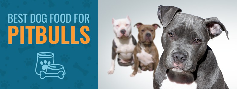 Best Dog Food For Pitbulls