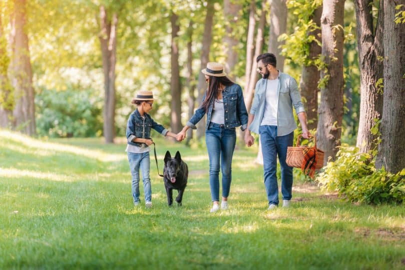 Family Walking with German Shepherd