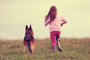 German Shepherd with Kid