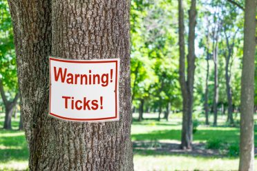 Sign warning of ticks on a tree