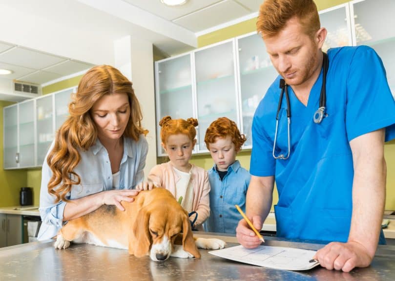 dog visiting the vet with her human family