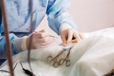 close up of veterinarian or doctor with scalpel doing surgery in the clinic. medicine, pet, animals, health care and people concept