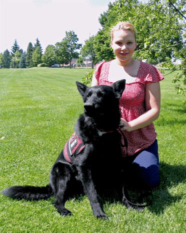 German Shepherd Service Dog in Vest