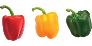 dogs can eat bell pepper of any color